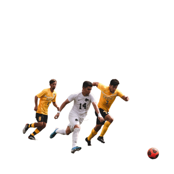 华体会体育服务质量反馈