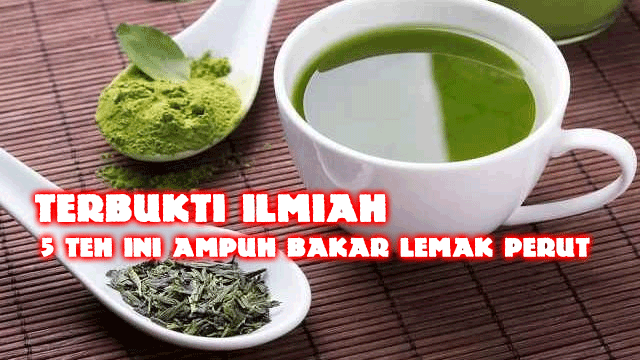 Terbukti Ilmiah, 5 Teh Ini Ampuh Bakar Lemak Perut